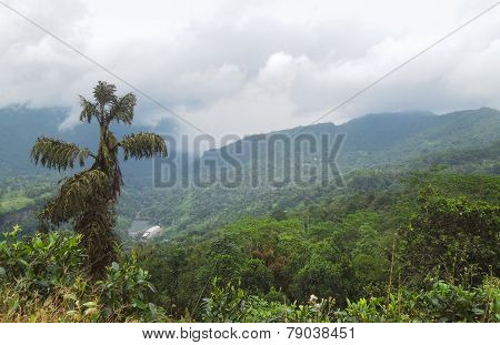 Mountain Scenery In Sri Lanka