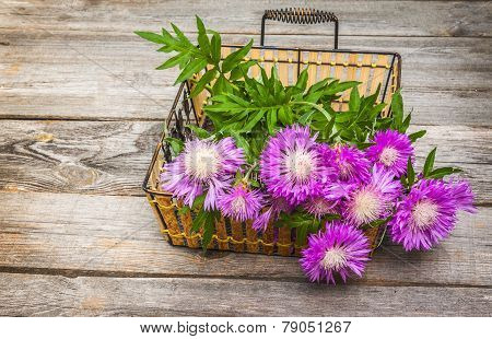 Bouquet Of Purple Cornflowers