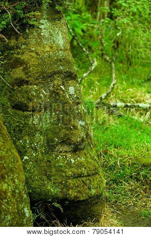 large rock carving floreana island galapagos