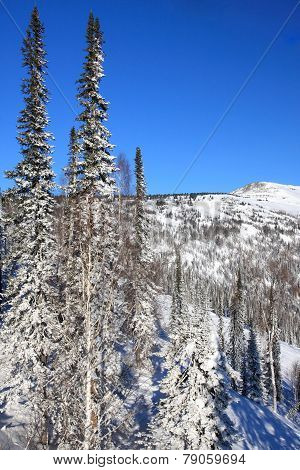 Mountain landscape.