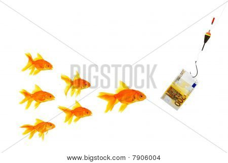 Goldfishes und Geld