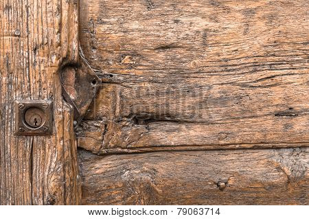 Wood Veins