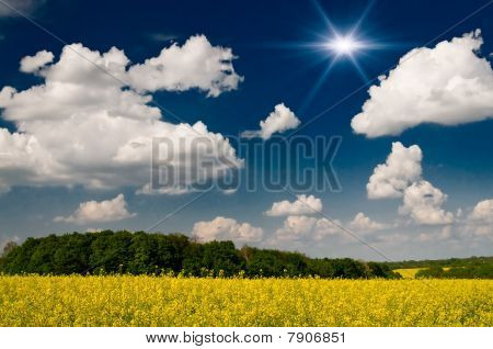 Fineste Rapefield og Cloudscape.