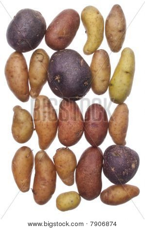 Batatas artesanais de alevinos