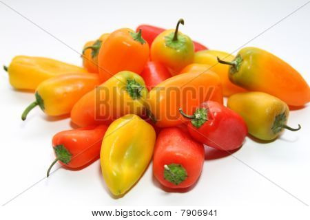 Poivrons
