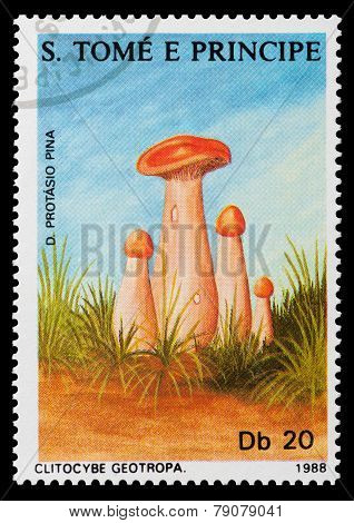 Mushrooms
