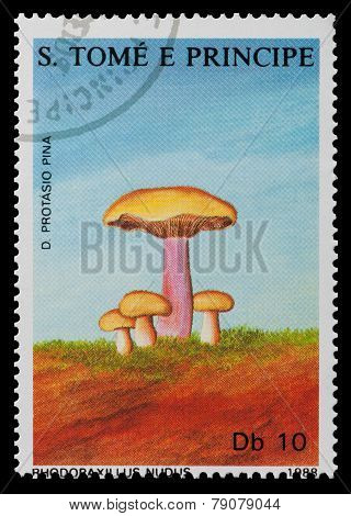 Mushrooms