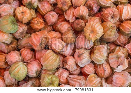 Fresh Cape Gooseberry