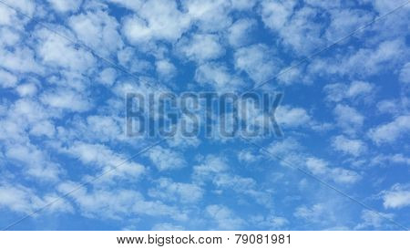 White Cloud And Blue Sky