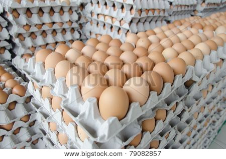 Eggs In The Package Of Gray Paper
