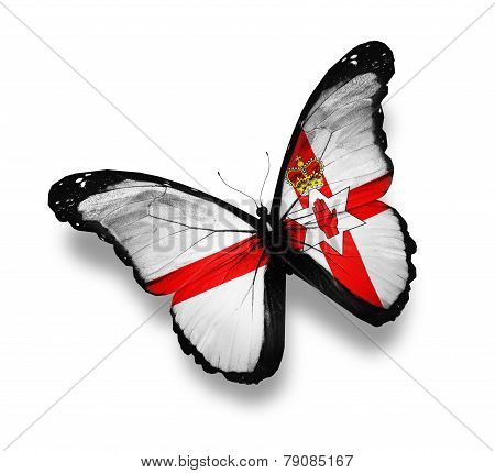 Ulster Flag Butterfly, Isolated On White