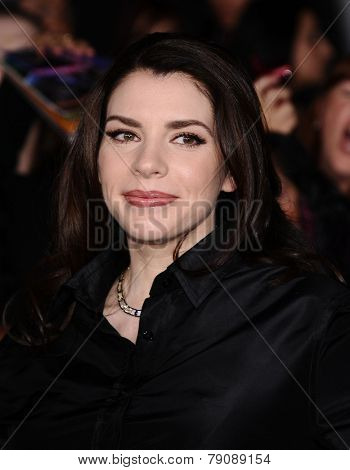 LOS ANGELES - NOV 11:  Stephenie Meyer arrives to the 
