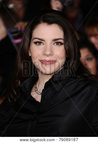 LOS ANGELES - NOV 11:  Stephenie Meyer arrives to the 