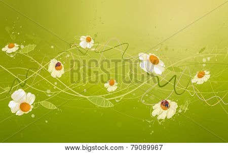 Art chamomile