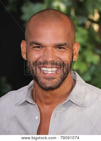 LOS ANGELES - AUG 06:  Amaury Nolasco arrives to 