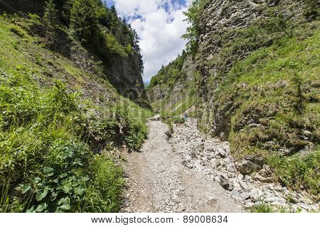 Mountain Ravine