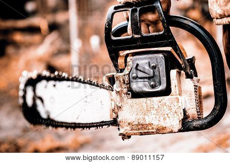 Man Sawing A Log In His Back Yard