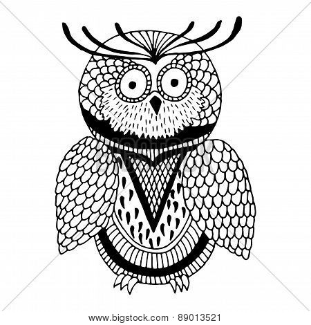 Owl