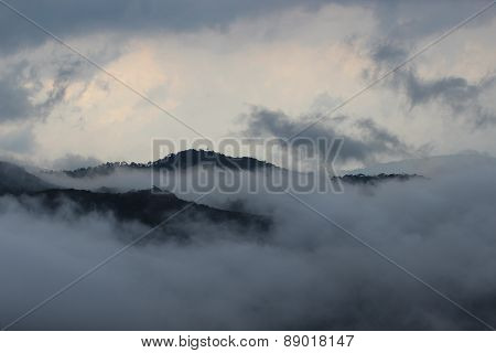 Munnar raja mala hills, Kerala, India