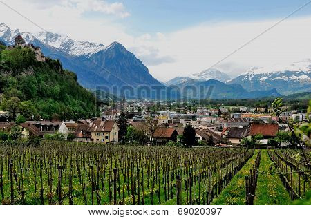 View of the city Vaduz