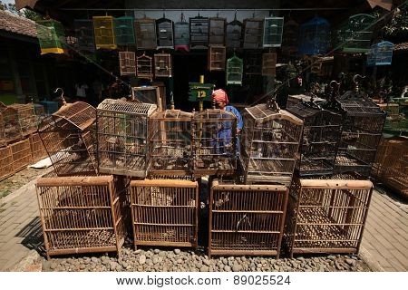 YOGYAKARTA, INDONESIA - JULY 31, 2011: Vendor sells song birds and parrots at the Pasar Ngasem Market in Yogyakarta, Central Java, Indonesia.