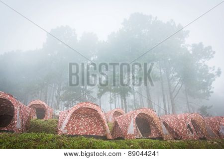 The Winter Fog