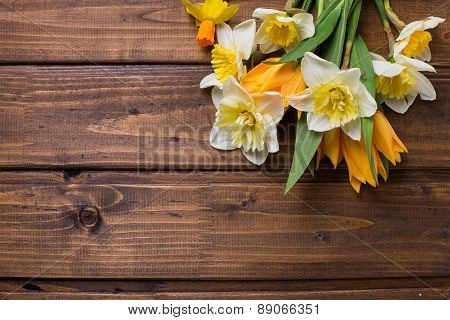 Background With Fresh Daffodils And Tulips
