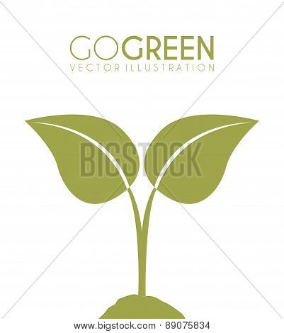 Two levaes on white background Vector illustration