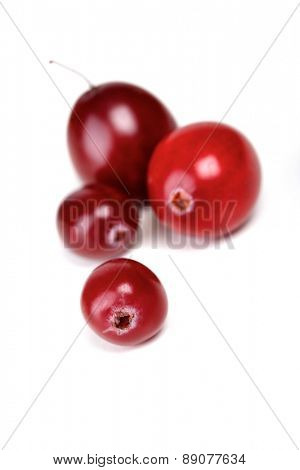 Cranberries on white background - studio shot