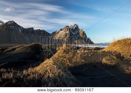 Mountains and volcanic lava sand dunes by the sea in Stokksness, Iceland. The brown bushes are lavender plants desiccated in the winter but will flourish and bloom when spring comes.