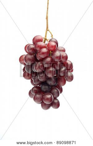 Red grapes on white background