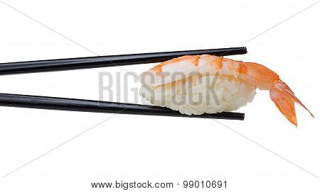 Shrimp Sushi Nigiri In Chopsticks Iolated On White Background