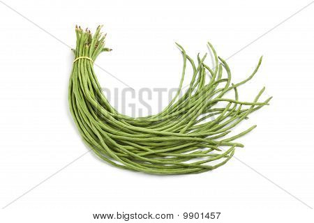 Bundle of fresh Chinese long beans