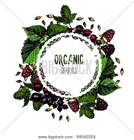 Label organic berries on a white background.