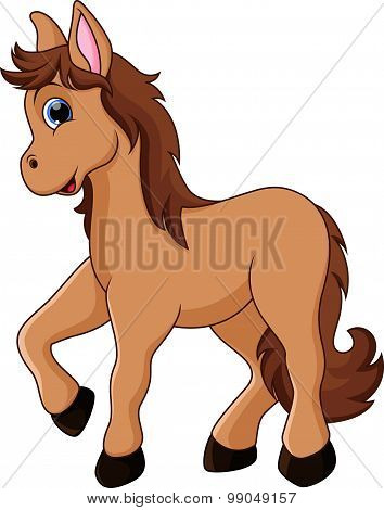 Cute horse cartoon