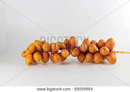 Date-palm