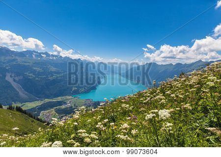 Aerial View Of Brienzer Lake And The Alps