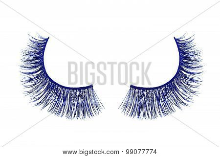 Blue False Eyelash Isolated On White Background