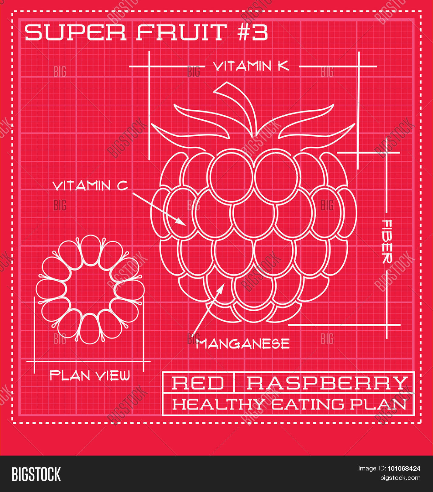 Blueprint Diagram Vector & Photo (Free Trial) | Bigstock
