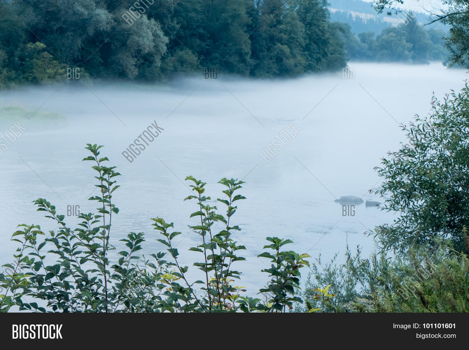Image Preview
