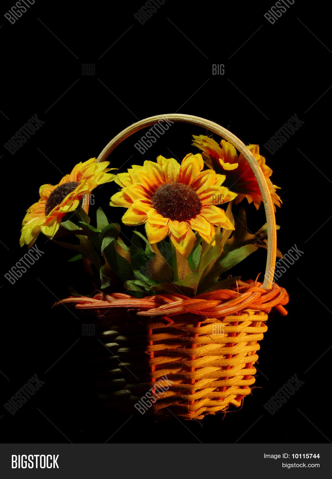 Image Preview