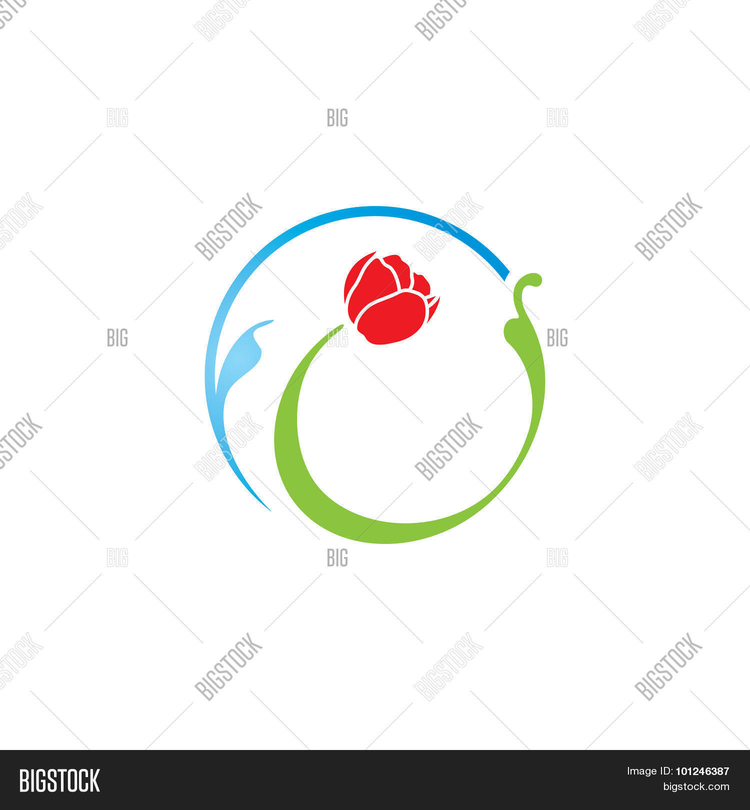 Image Preview