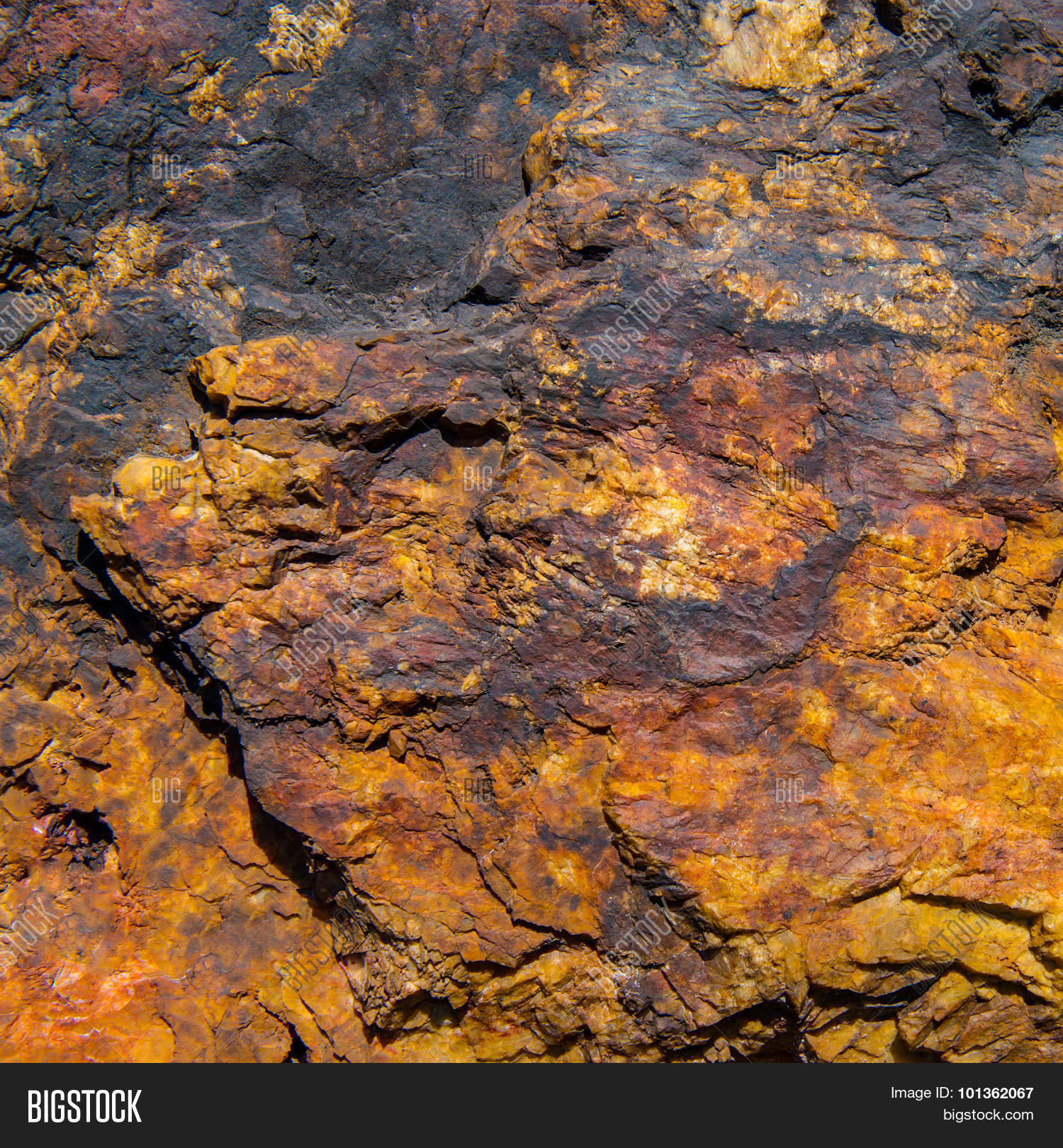 Image Preview