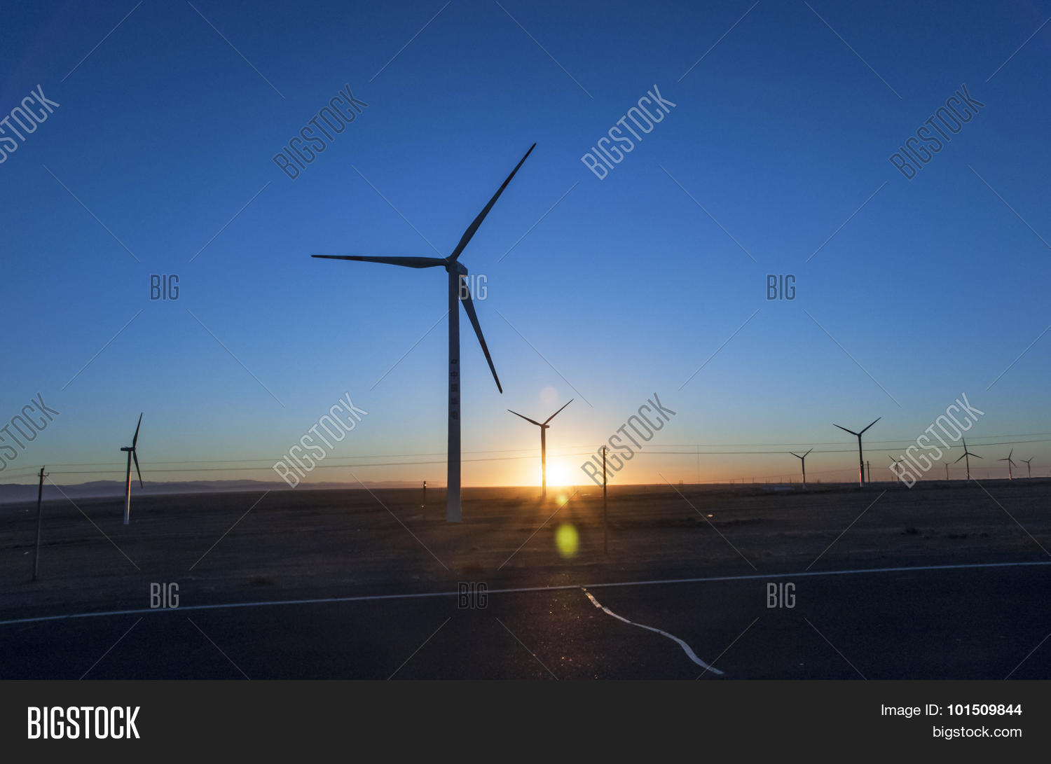 Image Preview