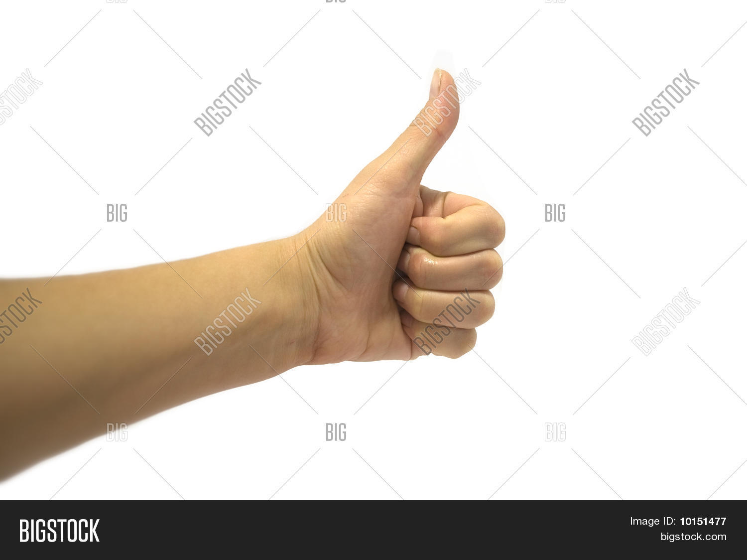 Image Preview