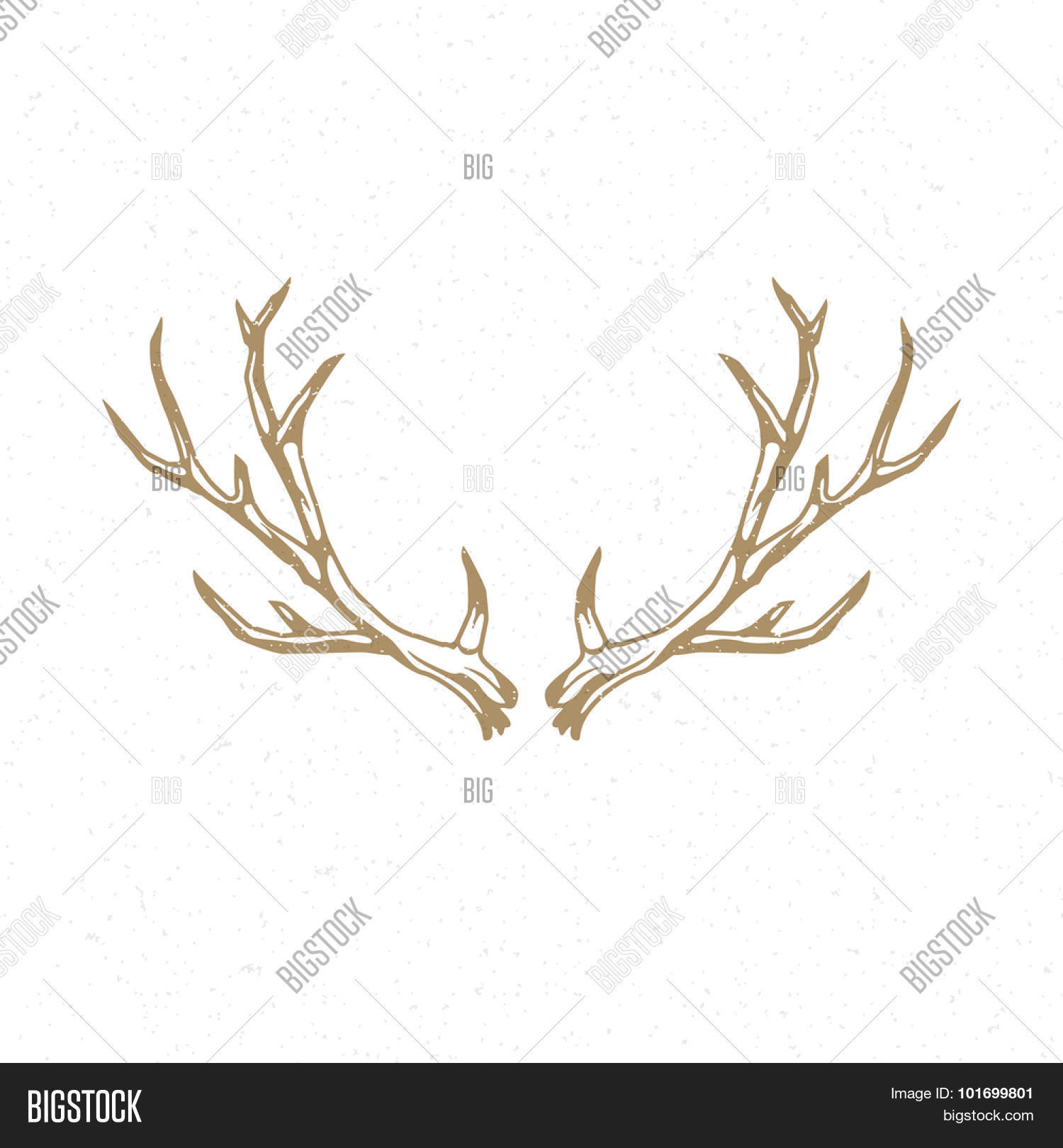 deer horns hand drawn vector photo free trial bigstock