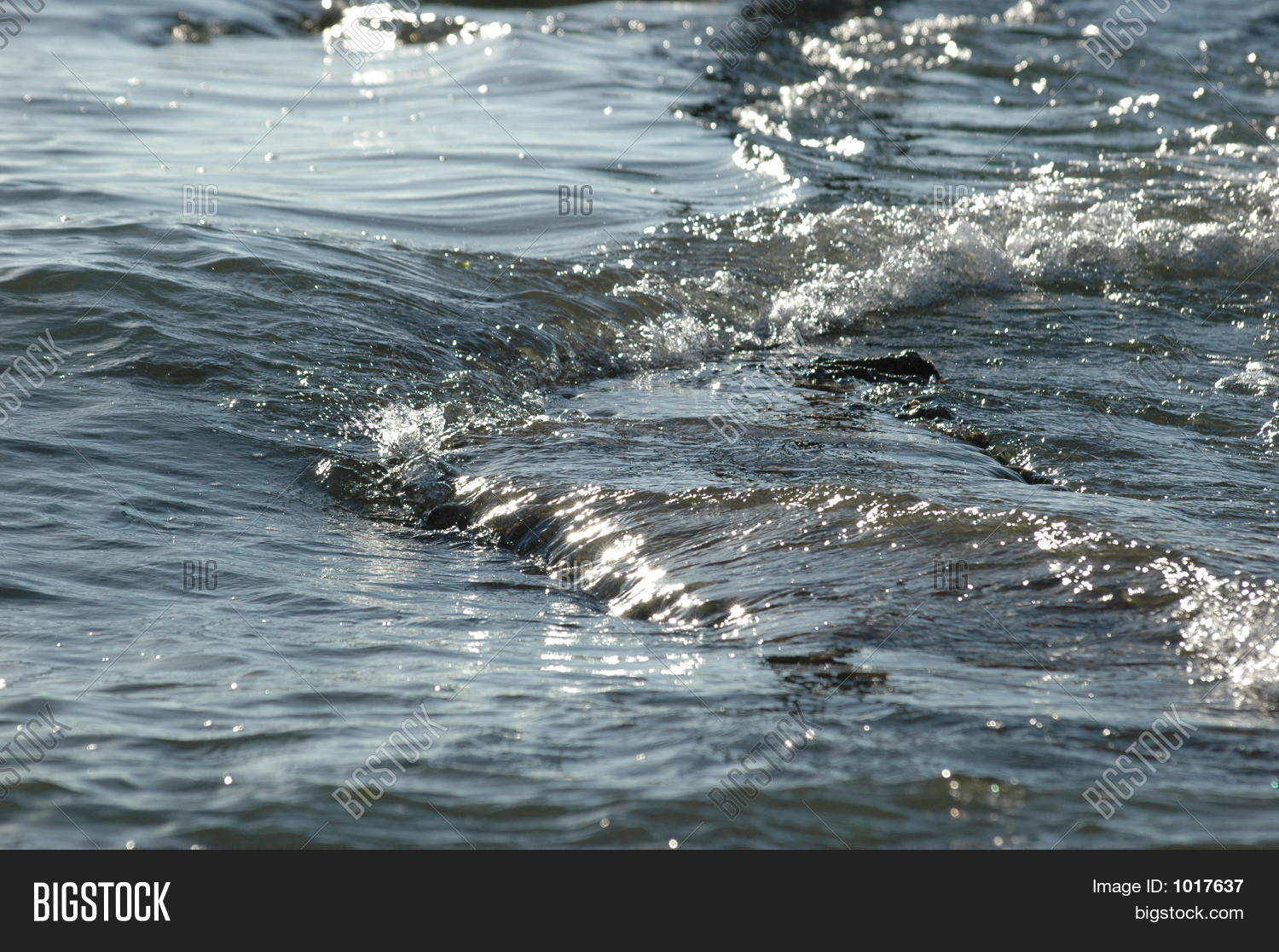 Image Preview
