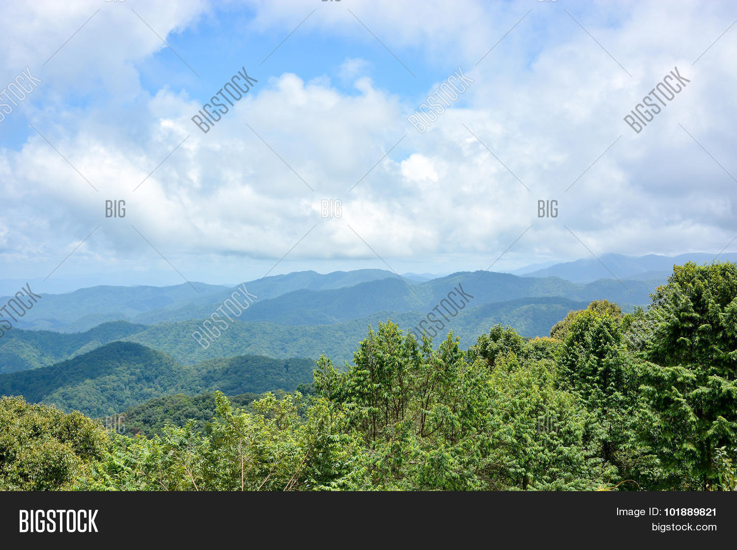 Image Preview