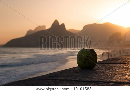 Coconut Drink in Ipanema Beach by Sunset