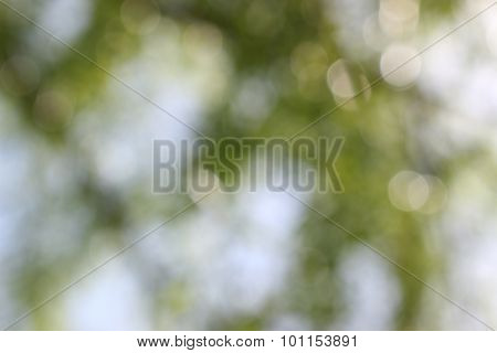 Bokeh Background